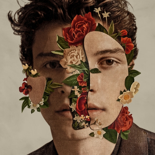 Shawn Mendes-Because I Had You
