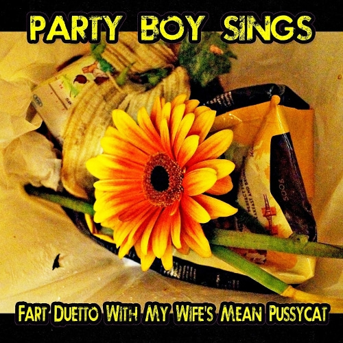 Party Boy Sings-A Buzzing Sound from My Wife&#039;s Bedroom Drawer Is Drawing Unwanted Attention