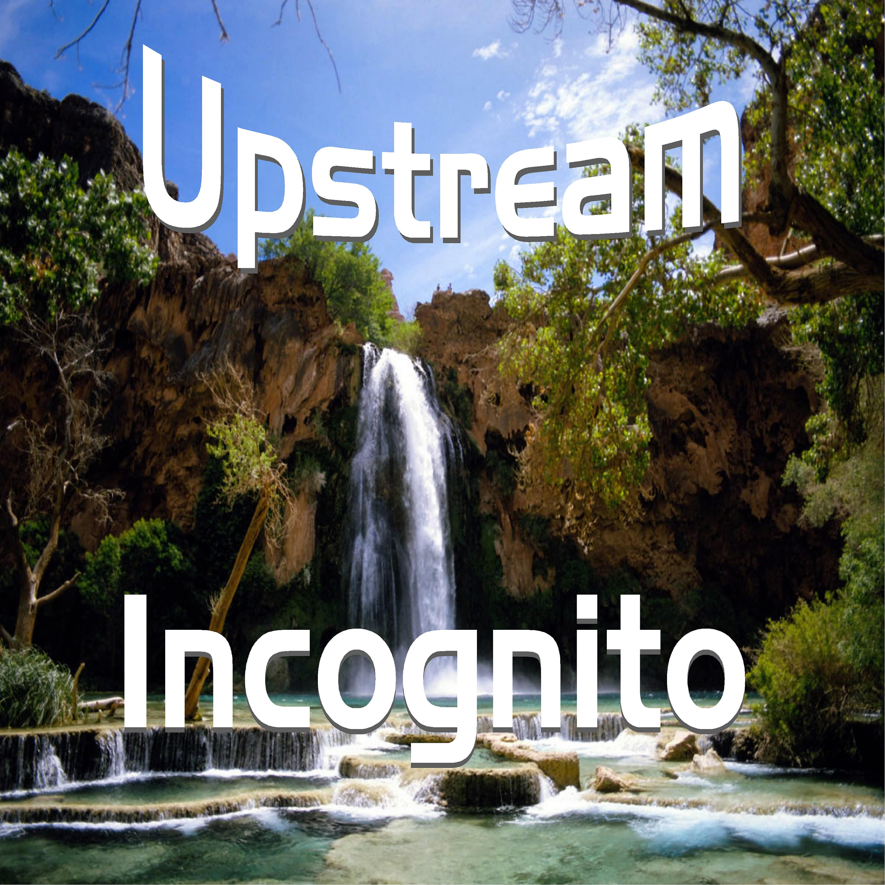 Incognito-Up and Over