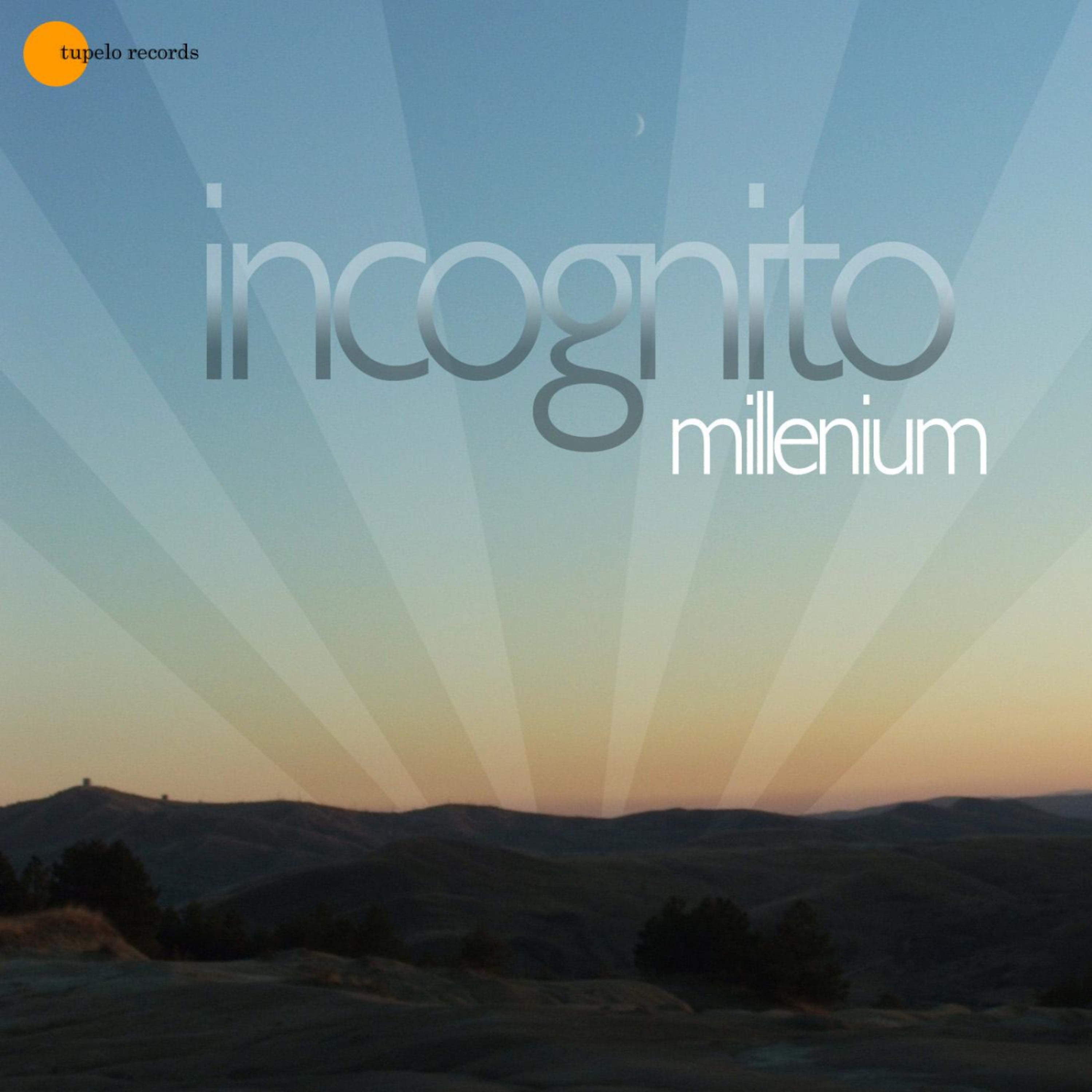 Incognito-Magic Mountain