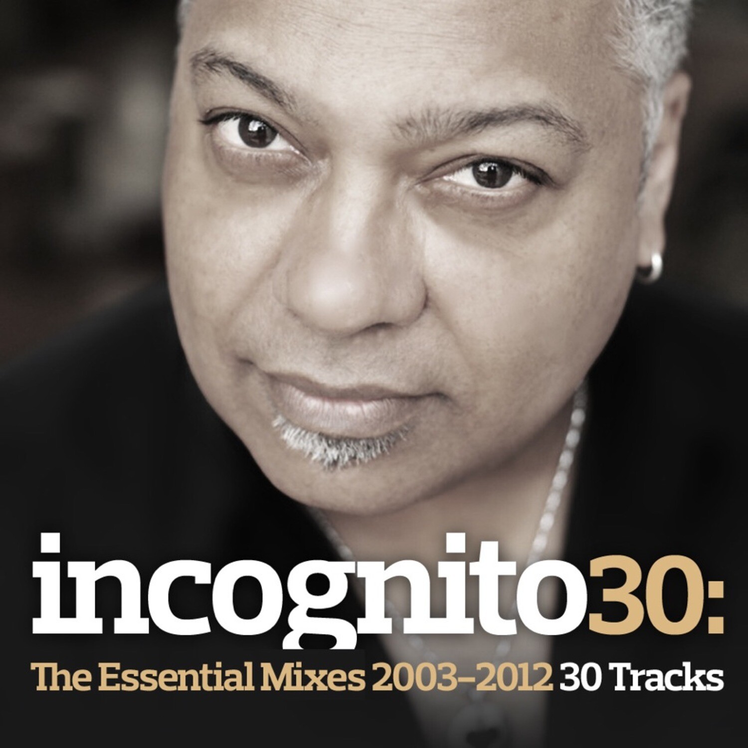 Incognito-The World Is Mine (Bluey &amp; Ski Sky High Mix)