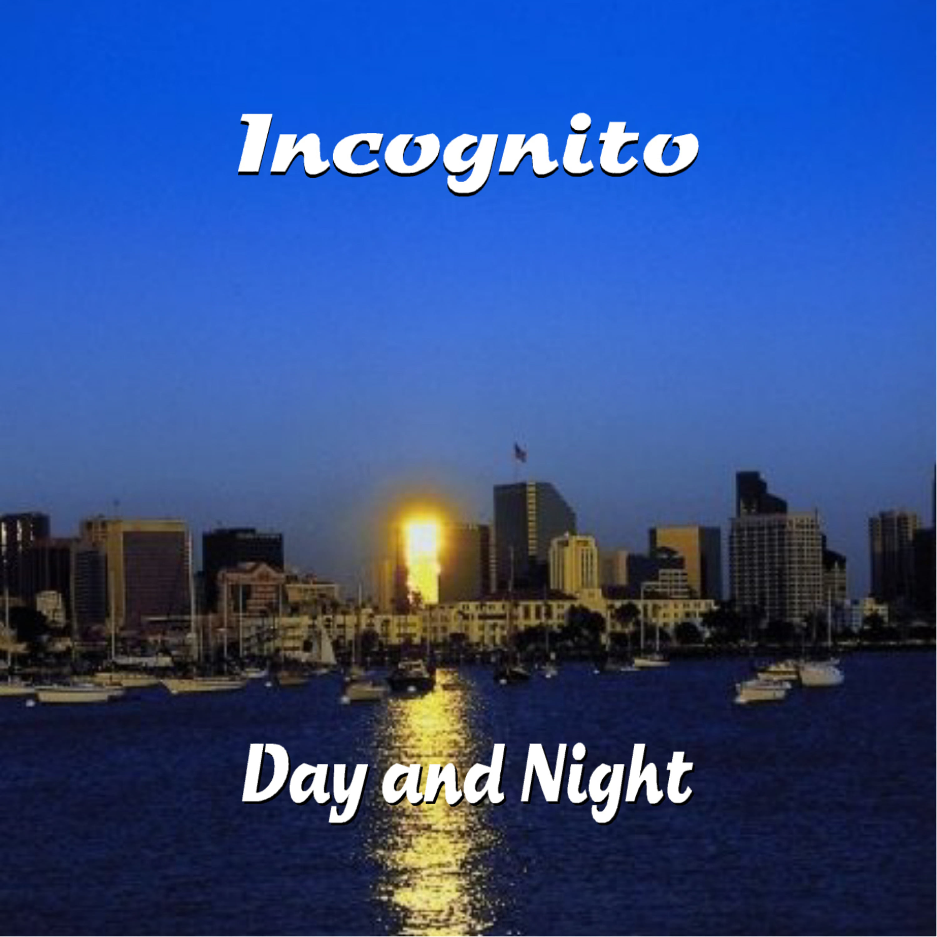 Incognito-In and Out