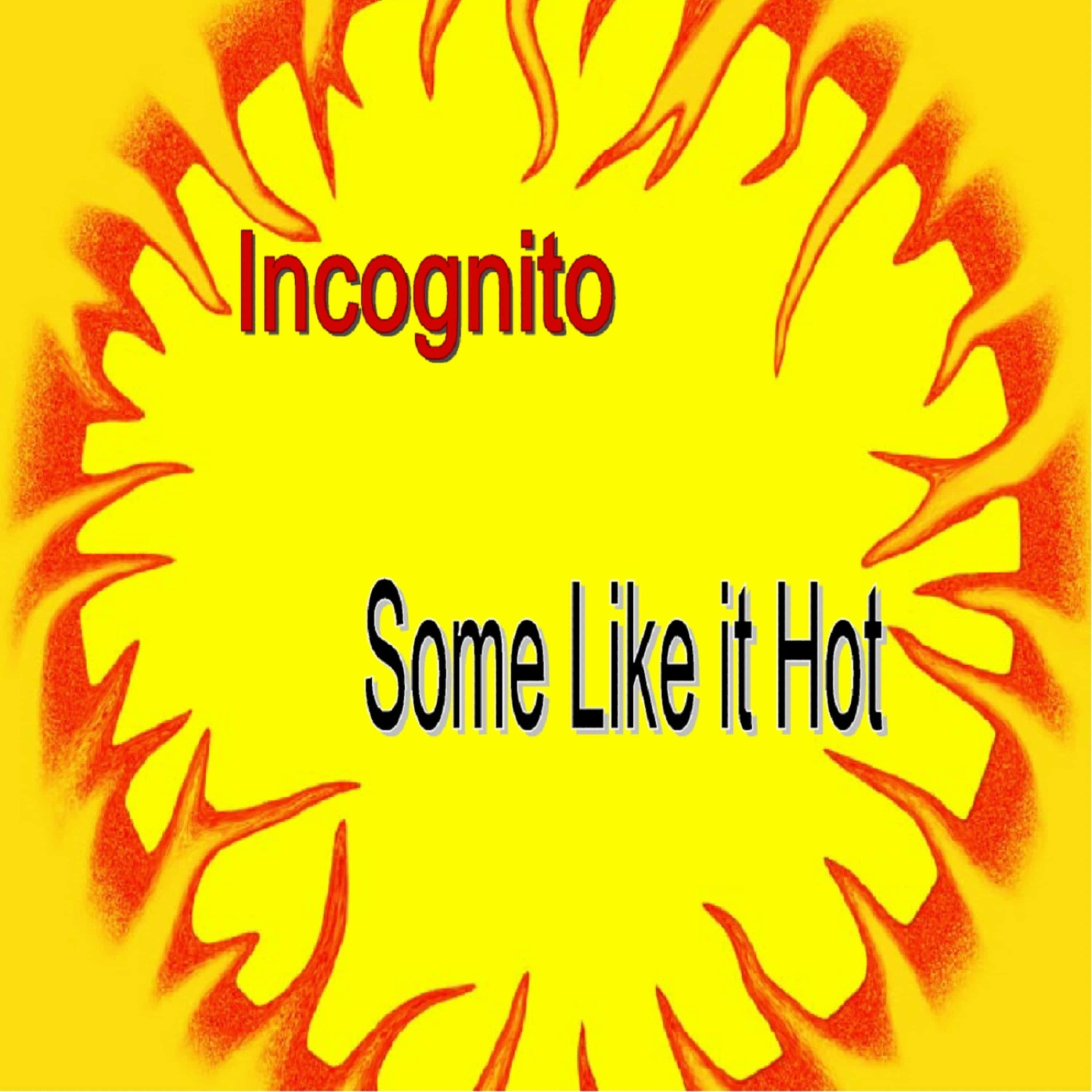 Incognito-Everything