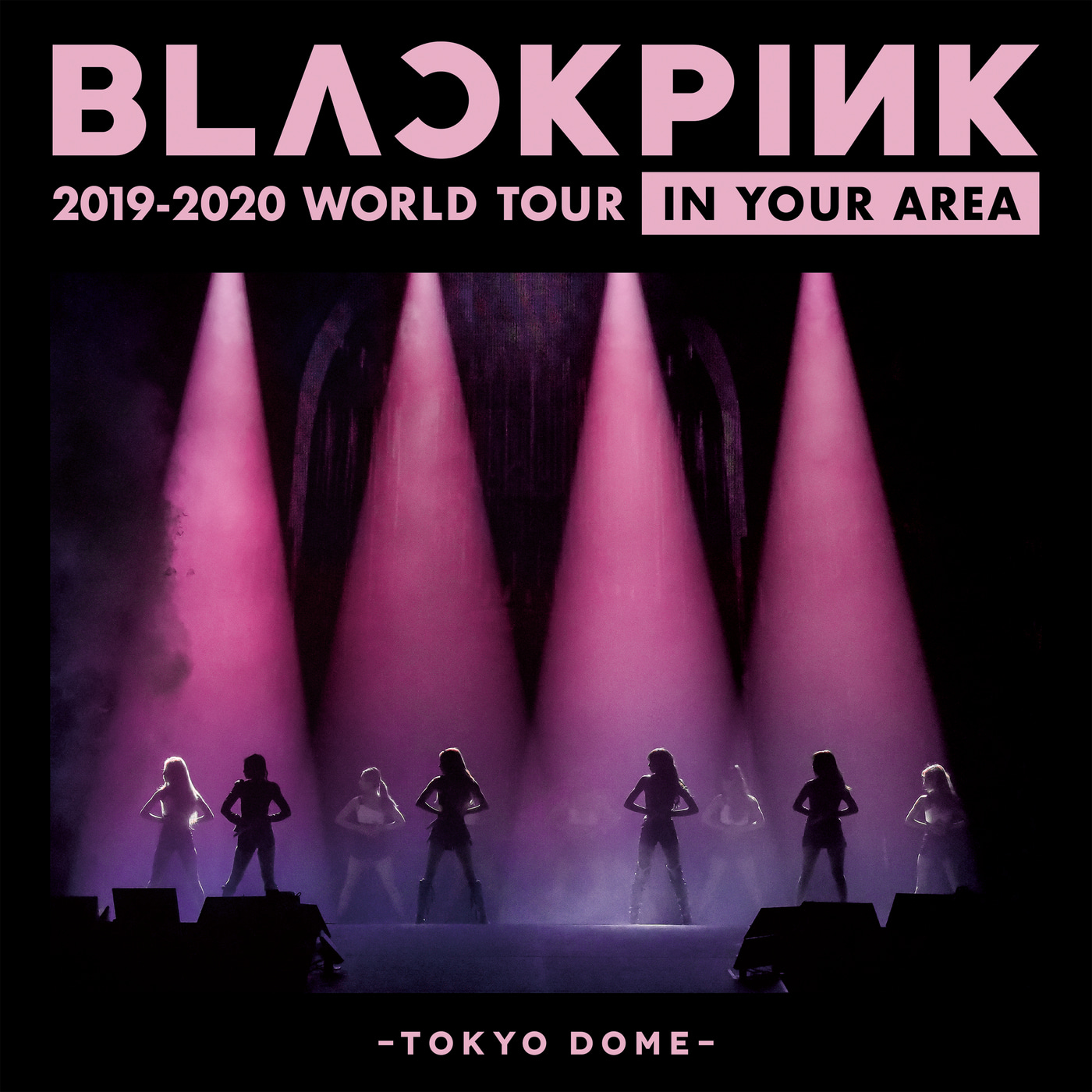 BLACKPINK-Whistle (Japan Version / BLACKPINK 2019-2020 WORLD TOUR IN YOUR AREA -TOKYO DOME-)