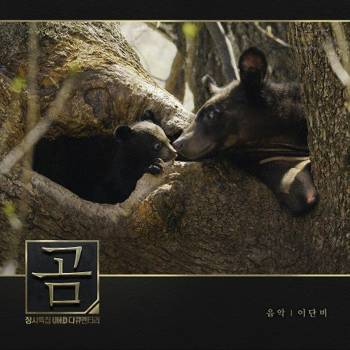 김호중-Bear&#039;s Dream
