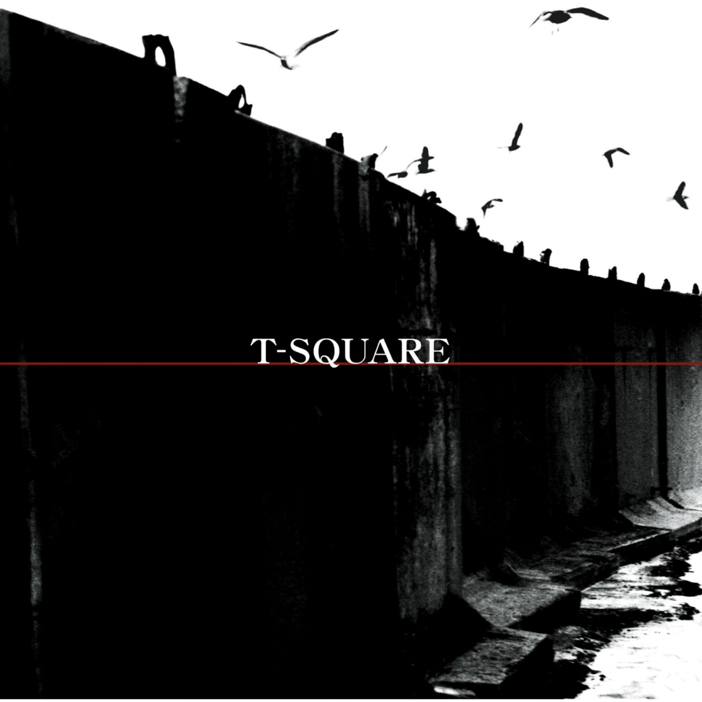 T-SQUARE-A Nite Without Memory