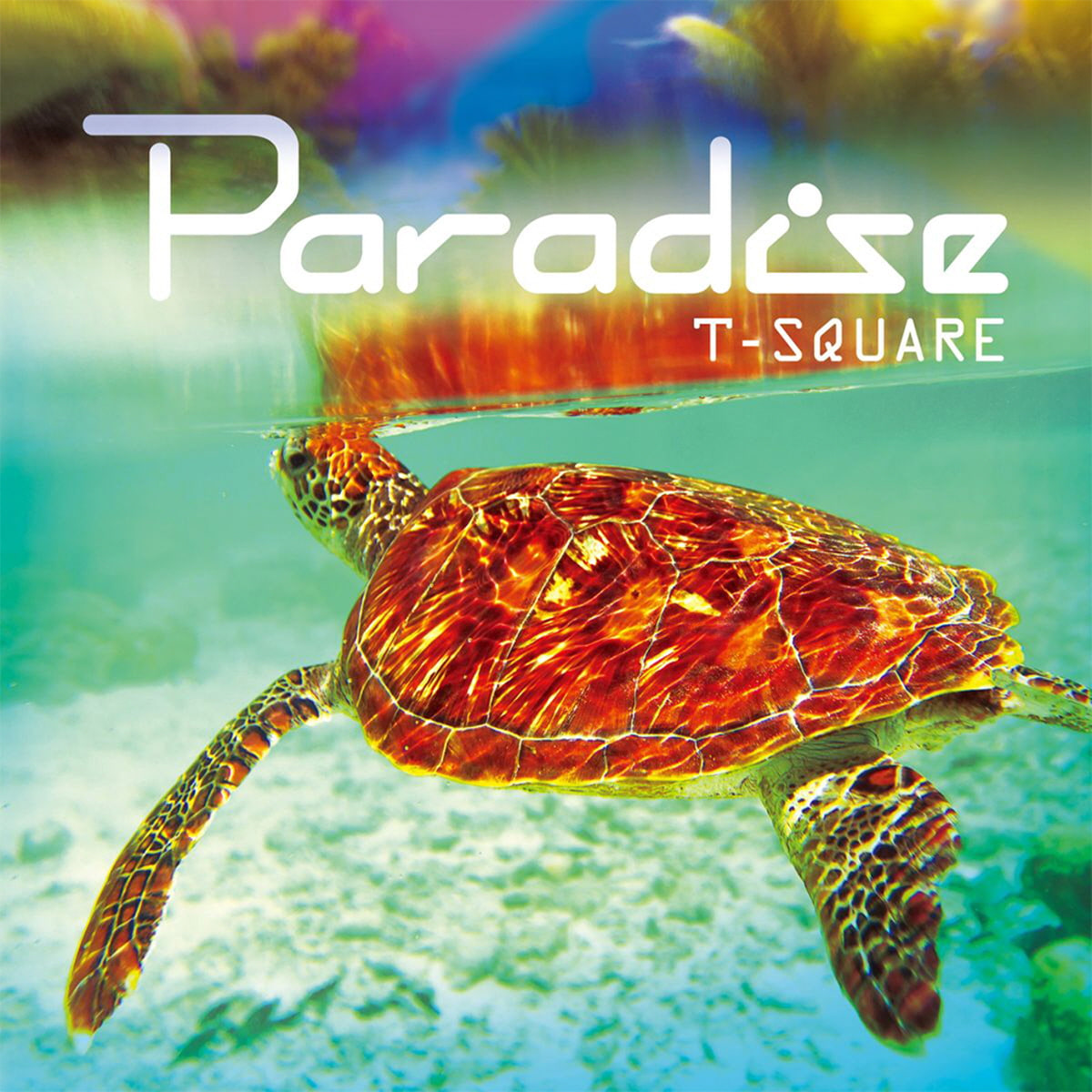 T-SQUARE-Paradise